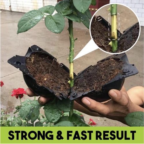 Plant Root Propagating Pod (3pcs)